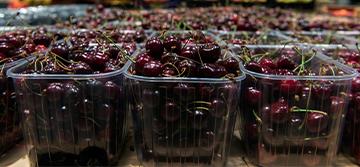 Cerima Cherries invests in custom machinery with state-of-the-art technology