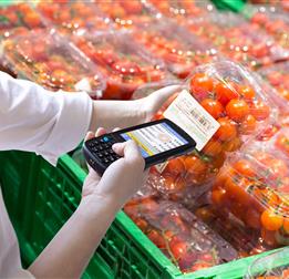 MemorK20-25 retail food 2